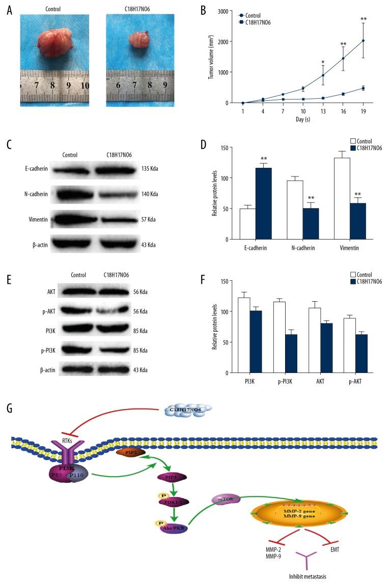 https://cdn.ncbi.nlm.nih.gov/pmc/blobs/5975/6792516/508a20ba7f8b/medscimonit-25-7527-g004.jpg