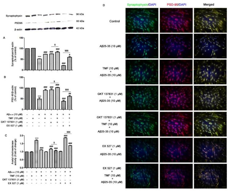https://cdn.ncbi.nlm.nih.gov/pmc/blobs/5977/8481796/b33414a9adb5/EXCLI-20-1346-g-006.jpg