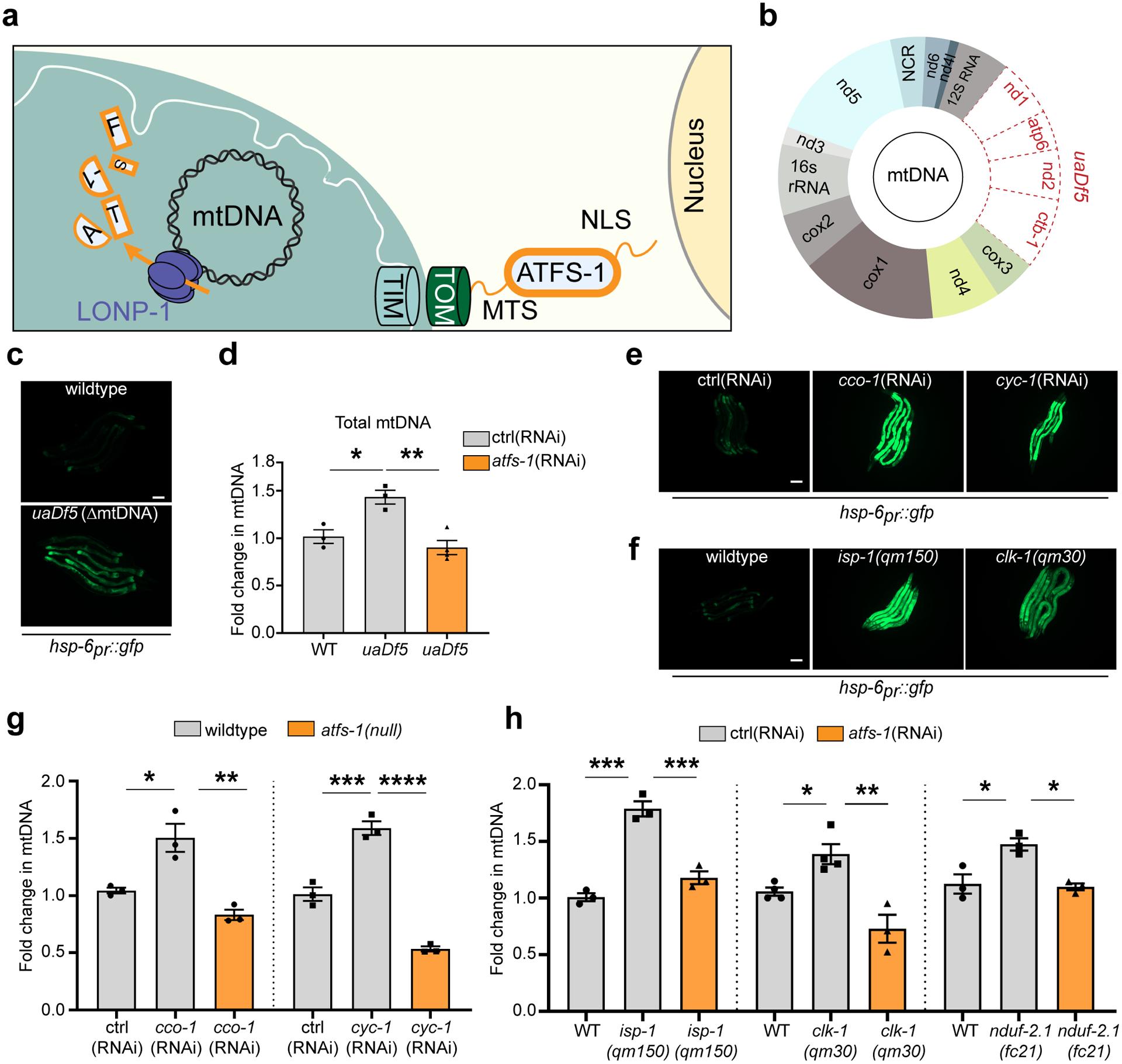 https://cdn.ncbi.nlm.nih.gov/pmc/blobs/5977/8868506/103a10d9b684/nihms-1767898-f0001.jpg