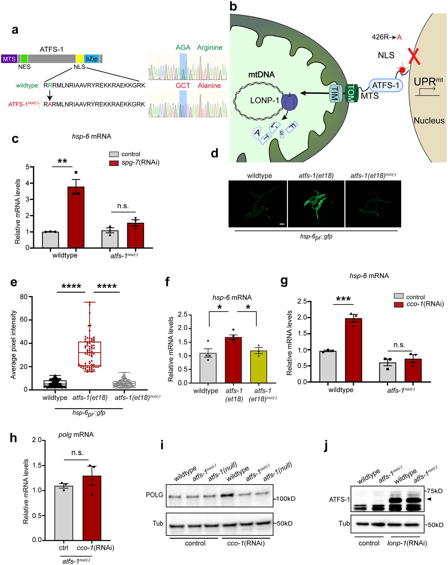 https://cdn.ncbi.nlm.nih.gov/pmc/blobs/5977/8868506/39c0d7b399c3/nihms-1767898-f0009.jpg