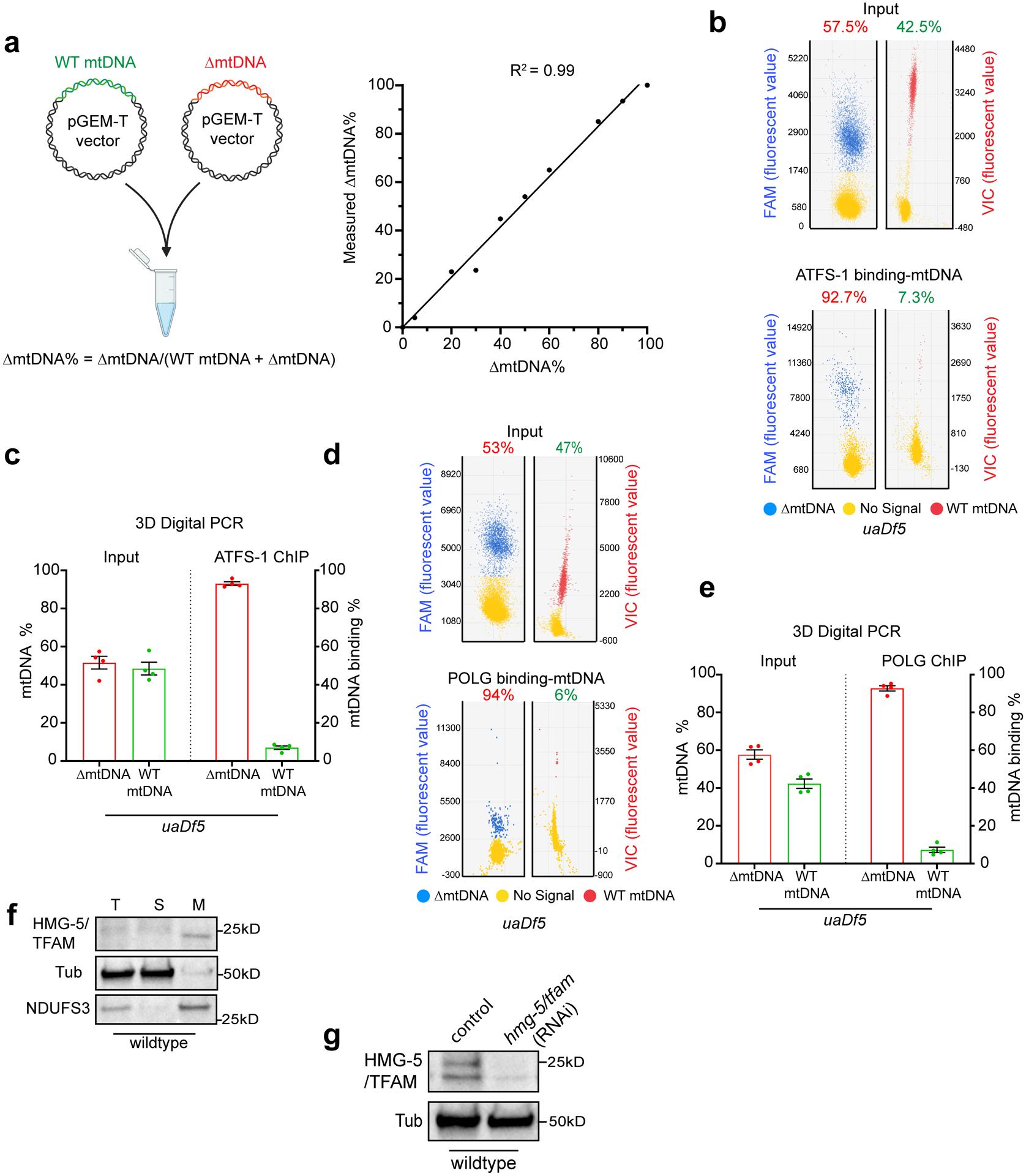 https://cdn.ncbi.nlm.nih.gov/pmc/blobs/5977/8868506/59914724ad25/nihms-1767898-f0012.jpg