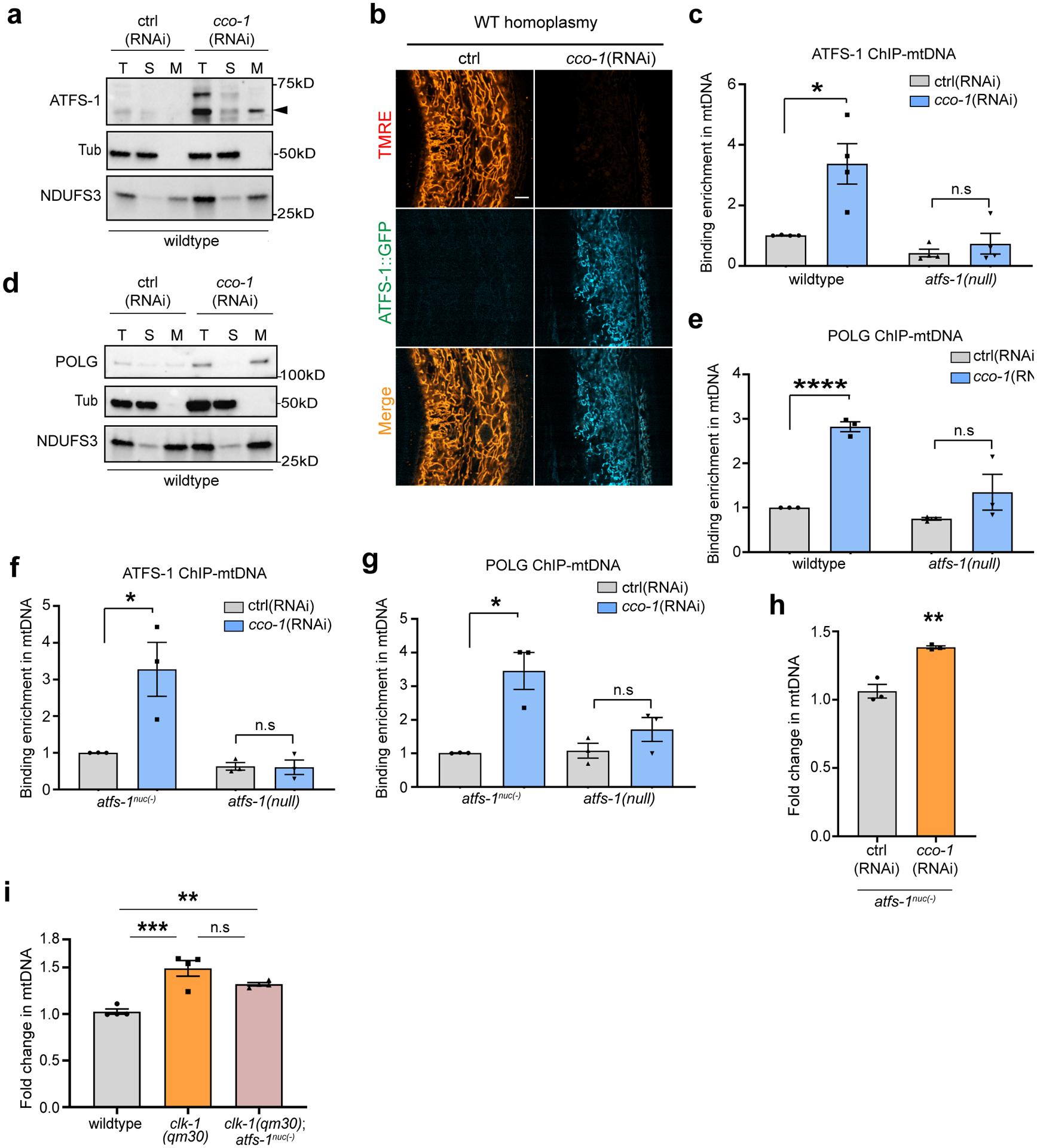 https://cdn.ncbi.nlm.nih.gov/pmc/blobs/5977/8868506/7b3ae26ca026/nihms-1767898-f0002.jpg