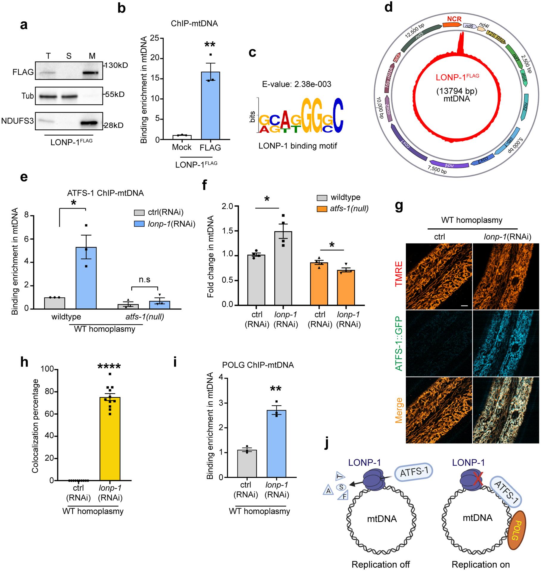 https://cdn.ncbi.nlm.nih.gov/pmc/blobs/5977/8868506/85a9a4f0bedf/nihms-1767898-f0003.jpg