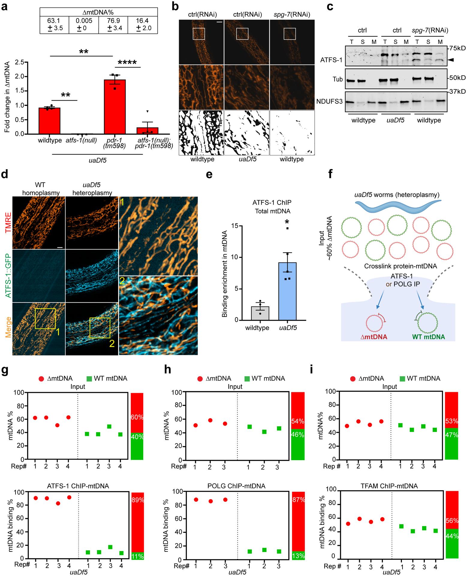 https://cdn.ncbi.nlm.nih.gov/pmc/blobs/5977/8868506/9be063b76c4c/nihms-1767898-f0004.jpg