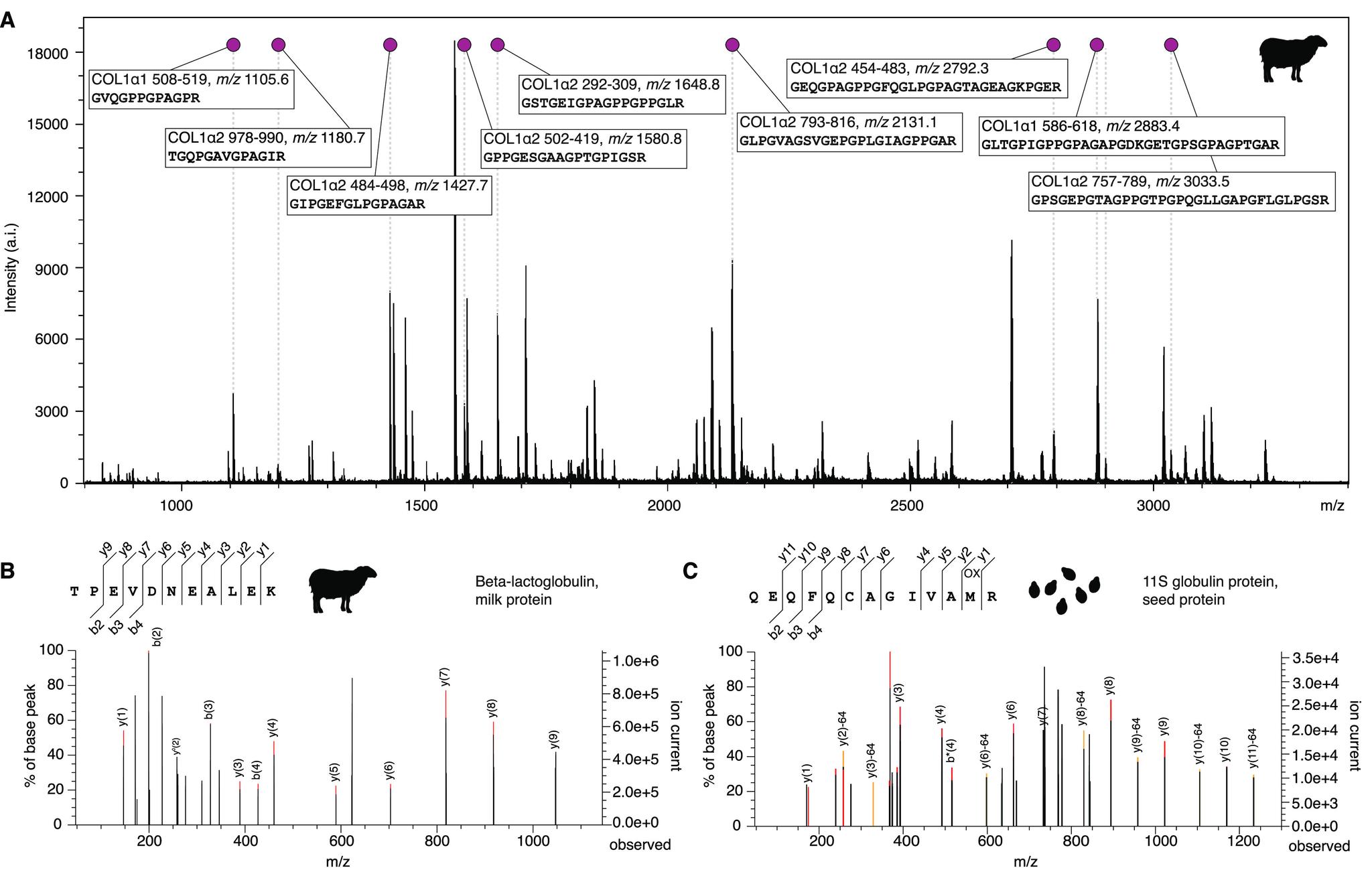 https://cdn.ncbi.nlm.nih.gov/pmc/blobs/597b/9412968/def185846564/cr1c00703_0003.jpg