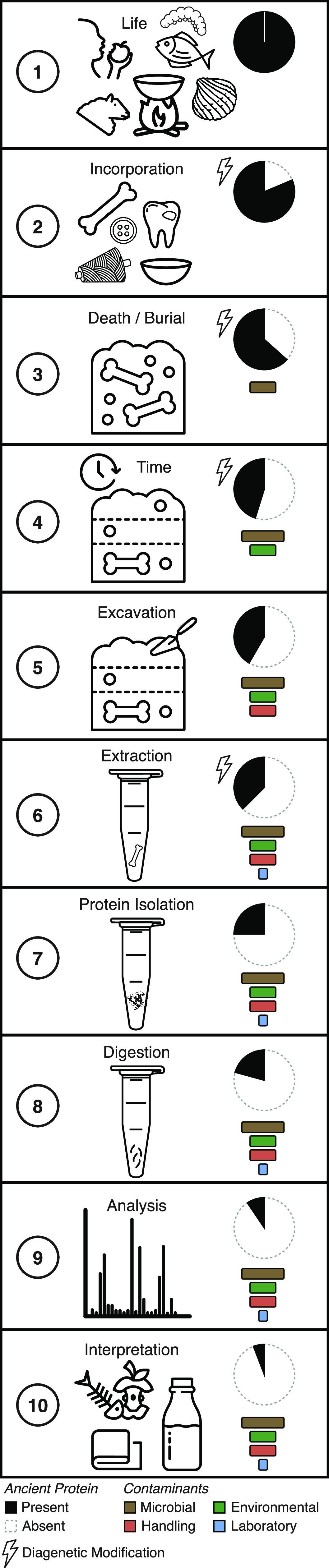 https://cdn.ncbi.nlm.nih.gov/pmc/blobs/597b/9412968/ff3582f1f843/cr1c00703_0002.jpg