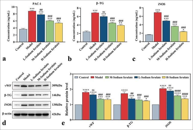 https://cdn.ncbi.nlm.nih.gov/pmc/blobs/597d/11801691/c6929e85eb89/Cytojournal-21-76-g006.jpg