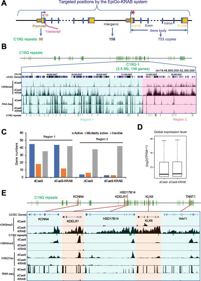 https://cdn.ncbi.nlm.nih.gov/pmc/blobs/597d/7722448/605c0481aad8/13059_2020_2201_Fig5_HTML.jpg