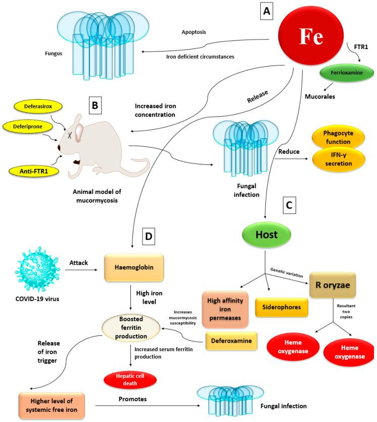 https://cdn.ncbi.nlm.nih.gov/pmc/blobs/597f/8468123/a0ec06528e27/antibiotics-10-01079-g005.jpg