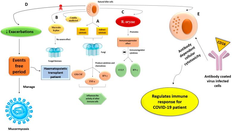 https://cdn.ncbi.nlm.nih.gov/pmc/blobs/597f/8468123/b83d292ac335/antibiotics-10-01079-g004.jpg
