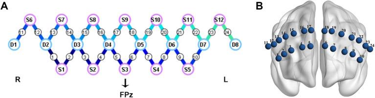 https://cdn.ncbi.nlm.nih.gov/pmc/blobs/5982/11565517/a9c72d147268/fnagi-16-1416816-g001.jpg