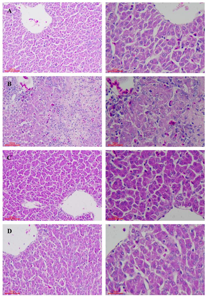 https://cdn.ncbi.nlm.nih.gov/pmc/blobs/5984/8955363/e1dcfb01b27f/toxins-14-00227-g002.jpg