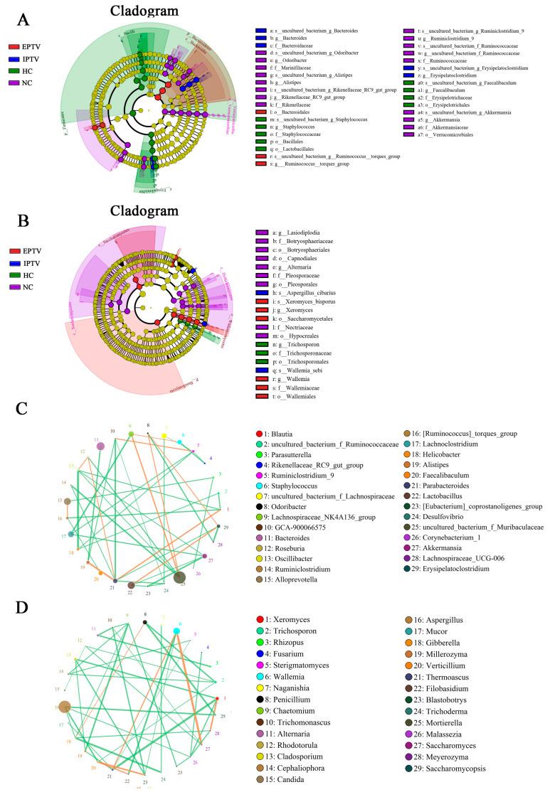 https://cdn.ncbi.nlm.nih.gov/pmc/blobs/5986/11356736/cb5f6a64dee7/microorganisms-12-01654-g004.jpg
