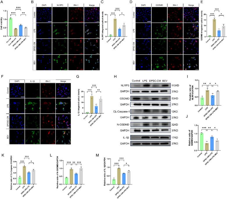 https://cdn.ncbi.nlm.nih.gov/pmc/blobs/5986/11992863/47dbb32a18fa/12967_2025_6388_Fig2_HTML.jpg