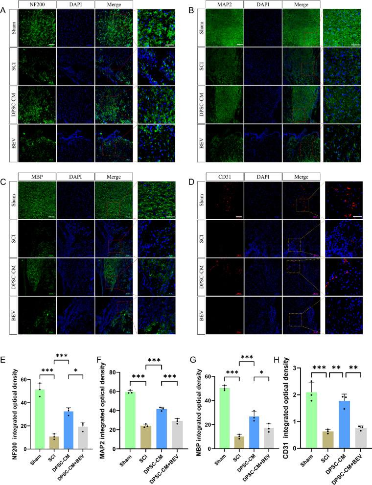 https://cdn.ncbi.nlm.nih.gov/pmc/blobs/5986/11992863/82e07813d371/12967_2025_6388_Fig6_HTML.jpg