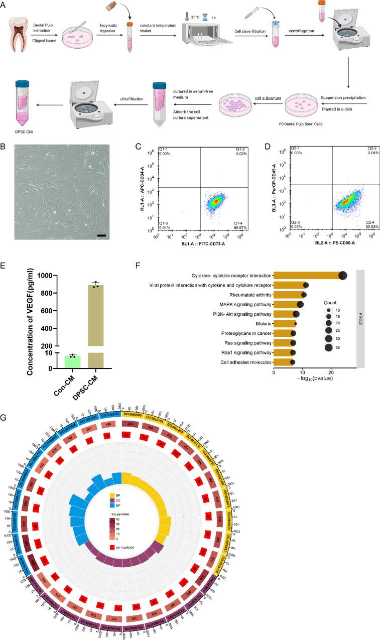 https://cdn.ncbi.nlm.nih.gov/pmc/blobs/5986/11992863/c95226607a66/12967_2025_6388_Fig1_HTML.jpg