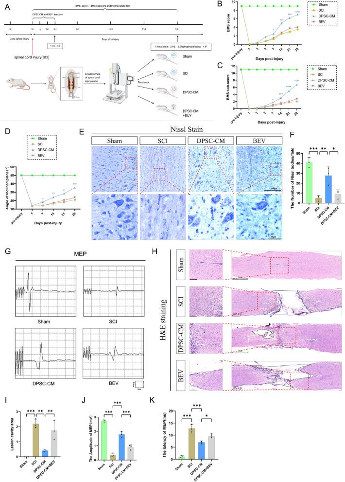 https://cdn.ncbi.nlm.nih.gov/pmc/blobs/5986/11992863/cb5958e24533/12967_2025_6388_Fig3_HTML.jpg