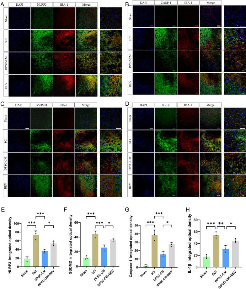 https://cdn.ncbi.nlm.nih.gov/pmc/blobs/5986/11992863/f92b6836b833/12967_2025_6388_Fig4_HTML.jpg