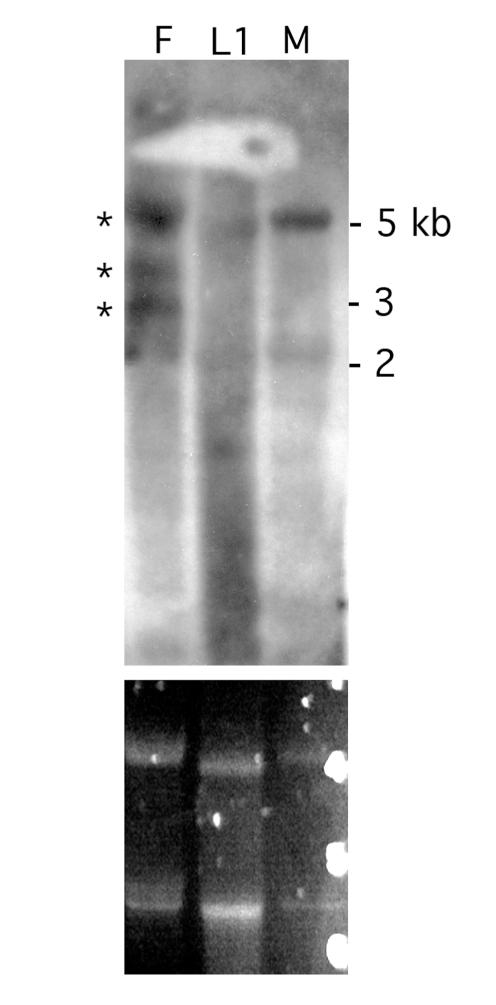 https://cdn.ncbi.nlm.nih.gov/pmc/blobs/5987/2834746/9b39703f5339/pntd.0000625.g007.jpg