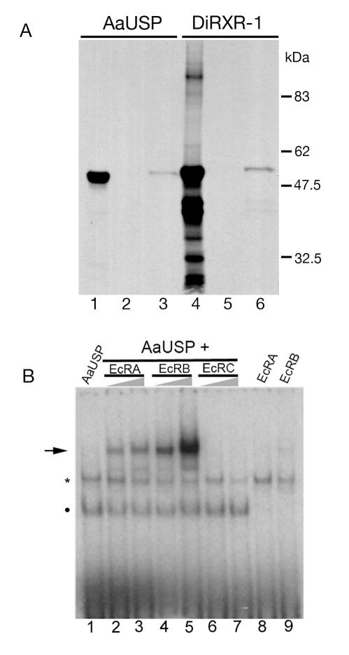 https://cdn.ncbi.nlm.nih.gov/pmc/blobs/5987/2834746/c5d641cdf6b8/pntd.0000625.g004.jpg