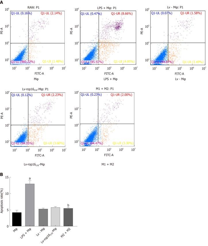 https://cdn.ncbi.nlm.nih.gov/pmc/blobs/5988/6906210/385419031032/WJG-25-6634-g007.jpg