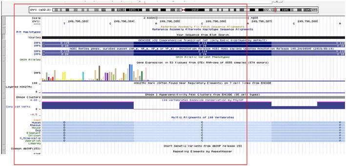 https://cdn.ncbi.nlm.nih.gov/pmc/blobs/598a/10178789/44cebdcdb88e/MGG3-11-e2138-g004.jpg