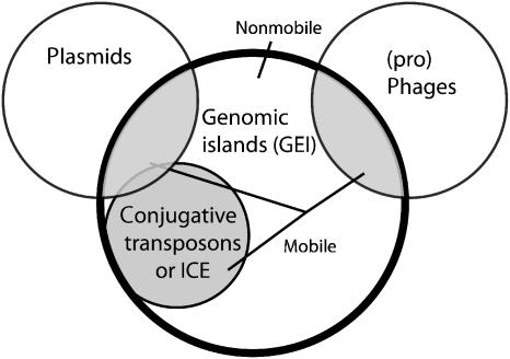 https://cdn.ncbi.nlm.nih.gov/pmc/blobs/598e/2704930/09b3127813fd/fmr0033-0376-f2.jpg