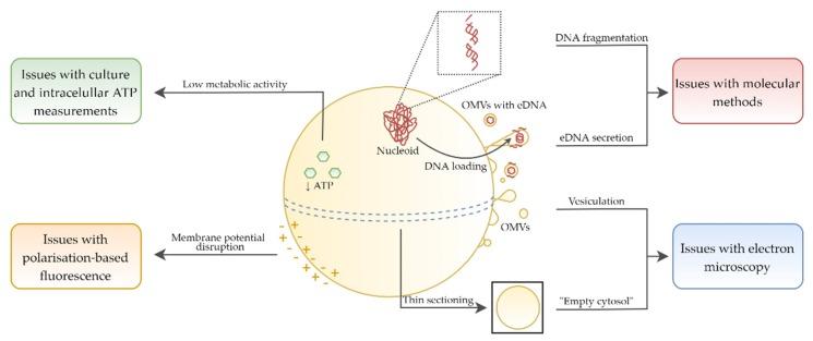 https://cdn.ncbi.nlm.nih.gov/pmc/blobs/598e/7157236/392f60f51fa3/pathogens-09-00184-g006.jpg