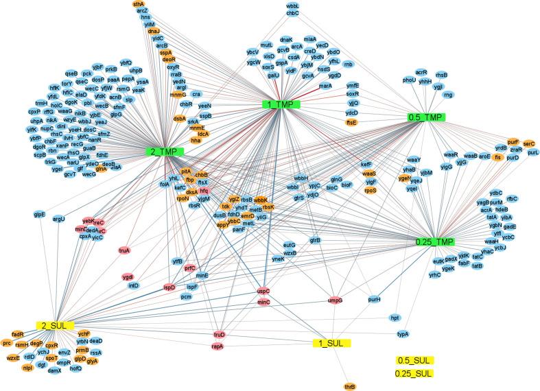 https://cdn.ncbi.nlm.nih.gov/pmc/blobs/598e/8767339/43e1a57d553d/mgen-7-0718-g002.jpg