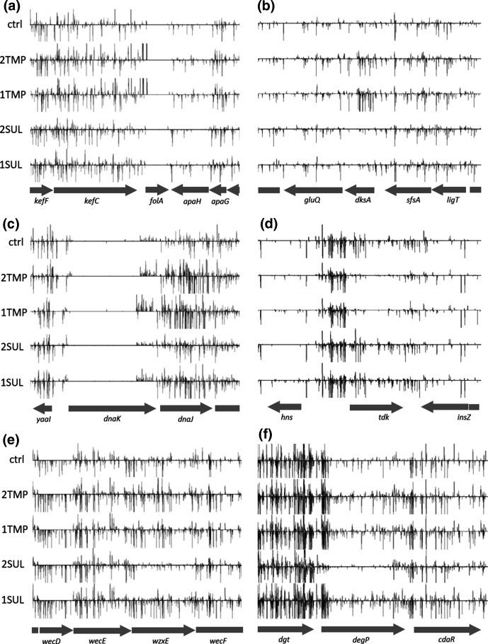 https://cdn.ncbi.nlm.nih.gov/pmc/blobs/598e/8767339/5d3eeb33dac4/mgen-7-0718-g003.jpg