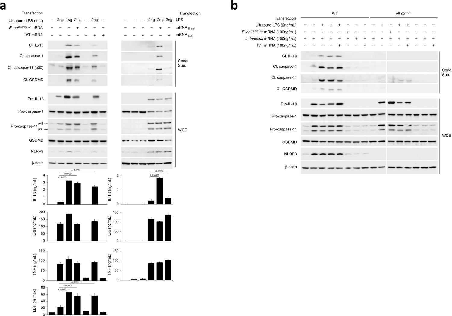 https://cdn.ncbi.nlm.nih.gov/pmc/blobs/598e/9106893/6c0d72495c54/nihms-1790789-f0002.jpg