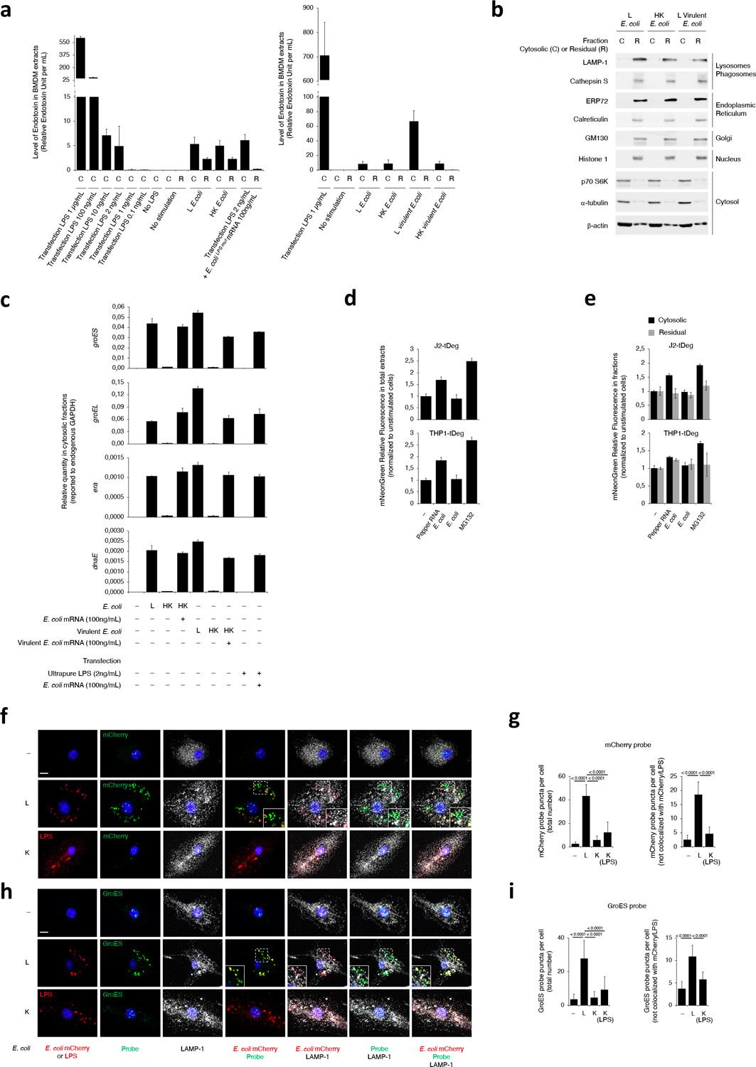 https://cdn.ncbi.nlm.nih.gov/pmc/blobs/598e/9106893/9c6505afeb08/nihms-1790789-f0010.jpg