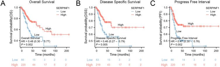 https://cdn.ncbi.nlm.nih.gov/pmc/blobs/598f/12124307/217df69503e4/IJWH-17-1511-g0009.jpg