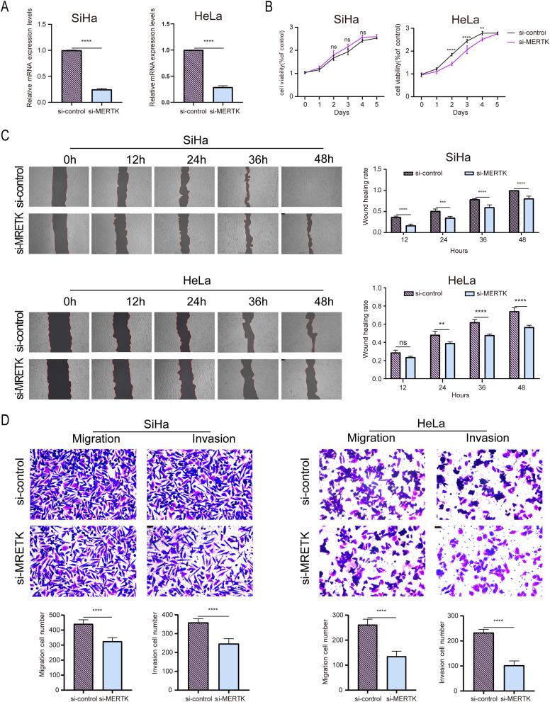 https://cdn.ncbi.nlm.nih.gov/pmc/blobs/598f/12124307/689d70b6e15b/IJWH-17-1511-g0005.jpg