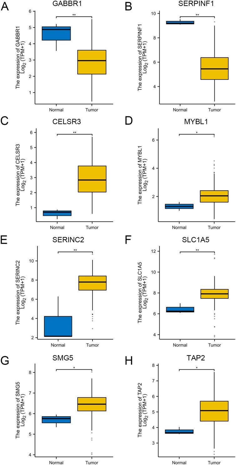 https://cdn.ncbi.nlm.nih.gov/pmc/blobs/598f/12124307/8132d5324aec/IJWH-17-1511-g0003.jpg