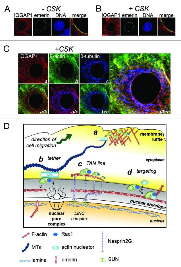 https://cdn.ncbi.nlm.nih.gov/pmc/blobs/5990/3675075/3196957ba22c/bioa-2-138-g2.jpg