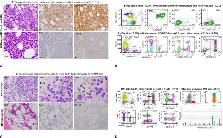 https://cdn.ncbi.nlm.nih.gov/pmc/blobs/5991/12364682/db7da8d8fe59/fonc-15-1630929-g002.jpg