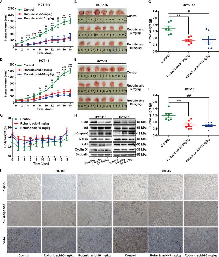 https://cdn.ncbi.nlm.nih.gov/pmc/blobs/5992/8864141/f9b307c43624/fimmu-13-853165-g007.jpg