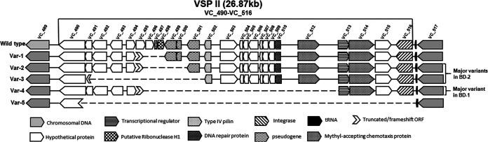 https://cdn.ncbi.nlm.nih.gov/pmc/blobs/5993/9045249/cf2733688c3c/spectrum.00391-22-f005.jpg