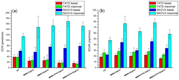 https://cdn.ncbi.nlm.nih.gov/pmc/blobs/5994/10745894/0c8442833e81/nanomaterials-13-03155-g012.jpg