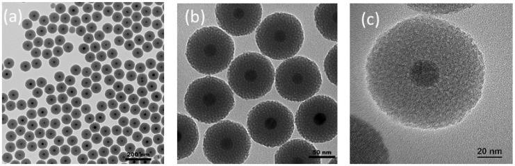 https://cdn.ncbi.nlm.nih.gov/pmc/blobs/5994/10745894/31ebacdb6ca3/nanomaterials-13-03155-g004.jpg