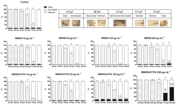 https://cdn.ncbi.nlm.nih.gov/pmc/blobs/5994/10745894/a473a43b68f3/nanomaterials-13-03155-g011.jpg