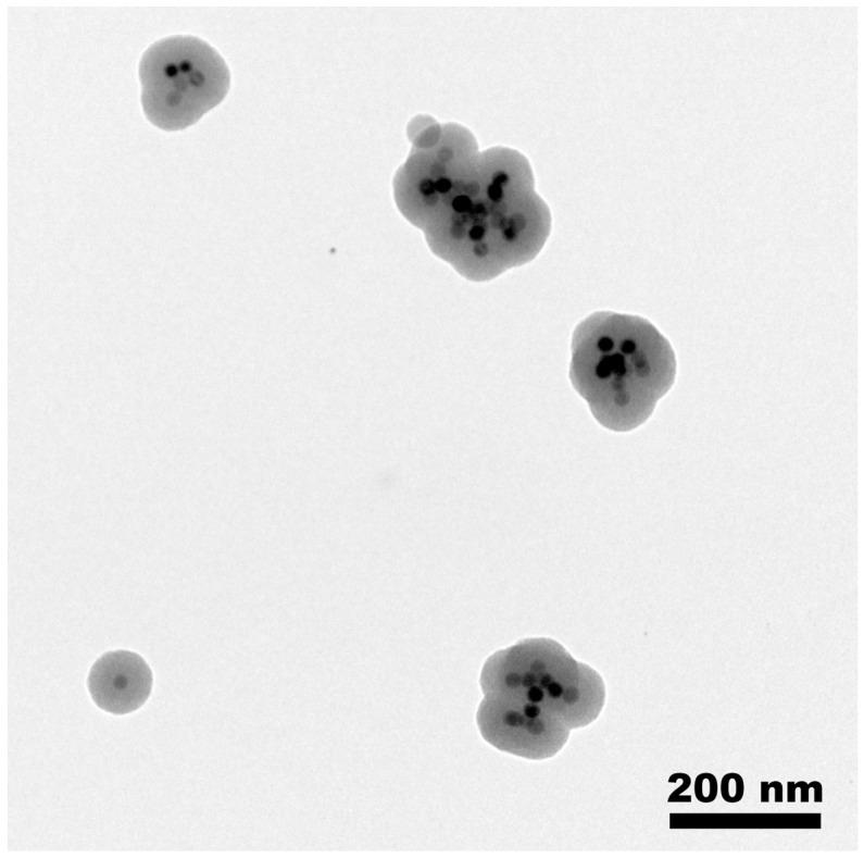 https://cdn.ncbi.nlm.nih.gov/pmc/blobs/5994/10745894/c16e6acae605/nanomaterials-13-03155-g003.jpg
