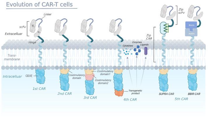 https://cdn.ncbi.nlm.nih.gov/pmc/blobs/5998/10340266/5189ccac6ffb/cancers-15-03476-g001.jpg