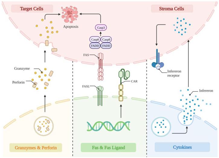 https://cdn.ncbi.nlm.nih.gov/pmc/blobs/5998/10340266/f4889cc8a2f9/cancers-15-03476-g002.jpg