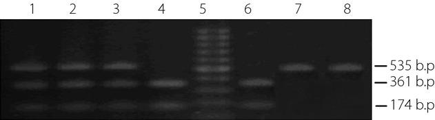 https://cdn.ncbi.nlm.nih.gov/pmc/blobs/5999/4296705/b81d56f5a038/jdi0006-0067-f3.jpg