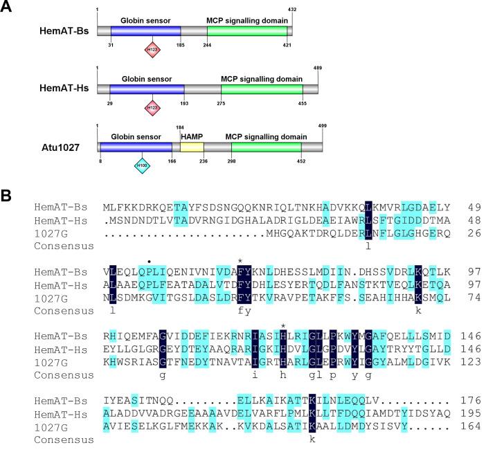 https://cdn.ncbi.nlm.nih.gov/pmc/blobs/599b/10851874/c872df112085/peerj-12-16898-g001.jpg
