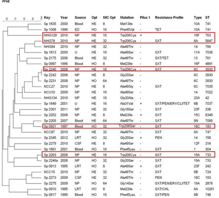 https://cdn.ncbi.nlm.nih.gov/pmc/blobs/599c/8041871/9c56317d71ef/41598_2021_87071_Fig1_HTML.jpg