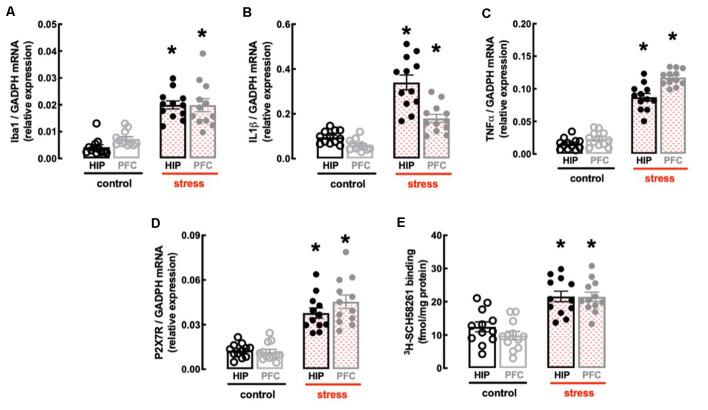 https://cdn.ncbi.nlm.nih.gov/pmc/blobs/599f/7957057/08aa091dcd0d/fncel-15-639322-g0003.jpg