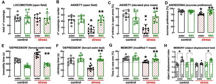 https://cdn.ncbi.nlm.nih.gov/pmc/blobs/599f/7957057/264615a4210f/fncel-15-639322-g0004.jpg